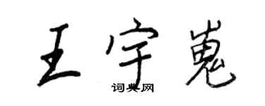 王正良王宇嵬行書個性簽名怎么寫