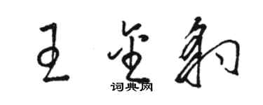 駱恆光王金豹草書個性簽名怎么寫