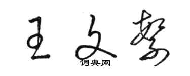 駱恆光王文繁草書個性簽名怎么寫