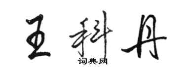 駱恆光王科丹行書個性簽名怎么寫