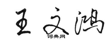 駱恆光王文鴻行書個性簽名怎么寫