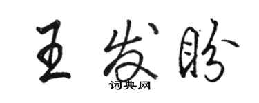 駱恆光王發盼行書個性簽名怎么寫