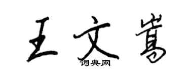 王正良王文嵩行書個性簽名怎么寫