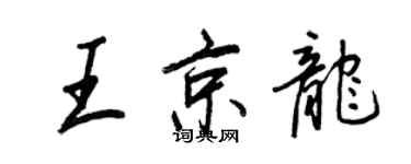 王正良王京龍行書個性簽名怎么寫