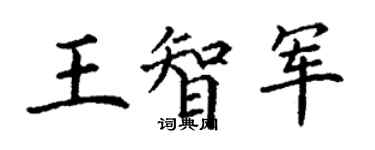 丁謙王智軍楷書個性簽名怎么寫