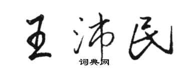 駱恆光王沛民行書個性簽名怎么寫