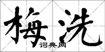 翁闓運梅洗楷書怎么寫