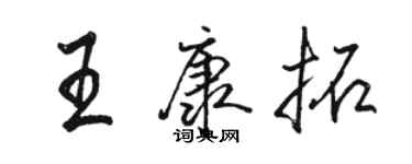 駱恆光王康拓行書個性簽名怎么寫