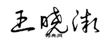 曾慶福王曉微草書個性簽名怎么寫