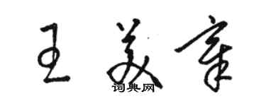 駱恆光王美章草書個性簽名怎么寫