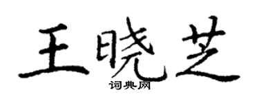 丁謙王曉芝楷書個性簽名怎么寫
