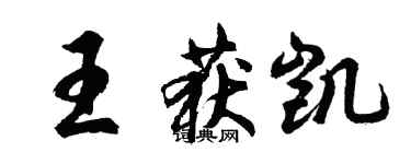 胡問遂王獲凱行書個性簽名怎么寫