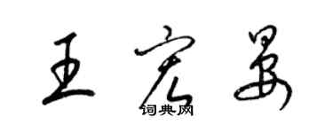 梁錦英王宏晏草書個性簽名怎么寫