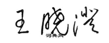 駱恆光王曉澄草書個性簽名怎么寫