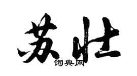 胡問遂蘇壯行書個性簽名怎么寫