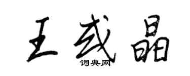 王正良王或晶行書個性簽名怎么寫