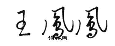 駱恆光王鳳鳳草書個性簽名怎么寫