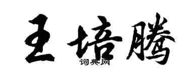 胡問遂王培騰行書個性簽名怎么寫