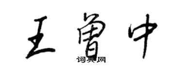 王正良王曾中行書個性簽名怎么寫