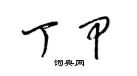 梁錦英丁甲草書個性簽名怎么寫