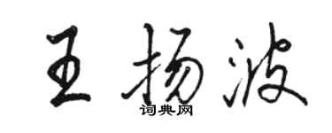 駱恆光王揚波行書個性簽名怎么寫