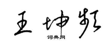 梁錦英王坤頻草書個性簽名怎么寫