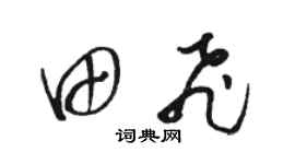 駱恆光田飛草書個性簽名怎么寫