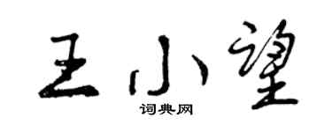 曾慶福王小望行書個性簽名怎么寫