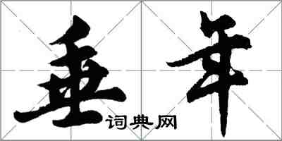 胡問遂垂年行書怎么寫