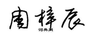 朱錫榮周梓辰草書個性簽名怎么寫