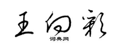 梁錦英王向彩草書個性簽名怎么寫