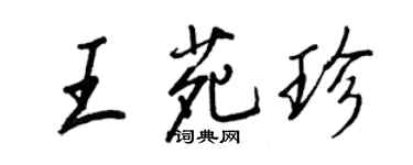 王正良王苑珍行書個性簽名怎么寫