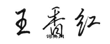 駱恆光王香紅行書個性簽名怎么寫