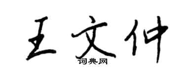 王正良王文仲行書個性簽名怎么寫