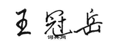 駱恆光王冠岳行書個性簽名怎么寫