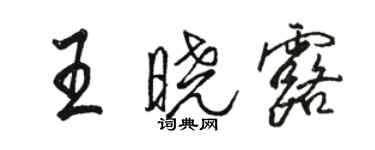 駱恆光王曉露行書個性簽名怎么寫