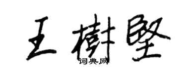 王正良王樹堅行書個性簽名怎么寫