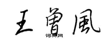 王正良王曾風行書個性簽名怎么寫