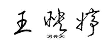 梁錦英王映婷草書個性簽名怎么寫