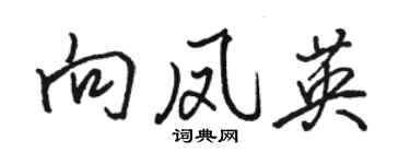 駱恆光向鳳英行書個性簽名怎么寫