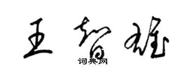 梁錦英王智雄草書個性簽名怎么寫