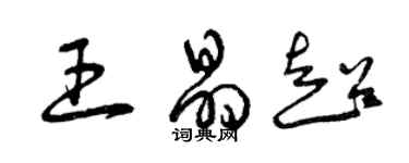 曾慶福王晶超草書個性簽名怎么寫