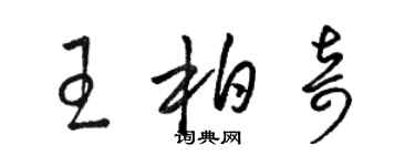 駱恆光王柏奇草書個性簽名怎么寫