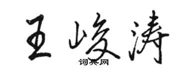駱恆光王峻濤行書個性簽名怎么寫