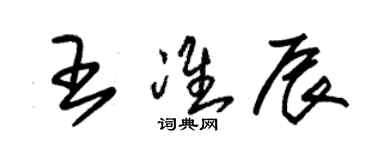 朱錫榮王準辰草書個性簽名怎么寫