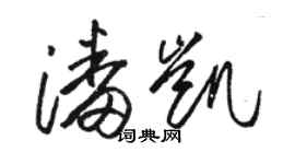 駱恆光潘凱草書個性簽名怎么寫