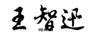 胡問遂王智迅行書個性簽名怎么寫