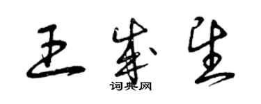 曾慶福王成望草書個性簽名怎么寫