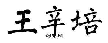 翁闓運王辛培楷書個性簽名怎么寫