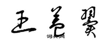 曾慶福王益翼草書個性簽名怎么寫
